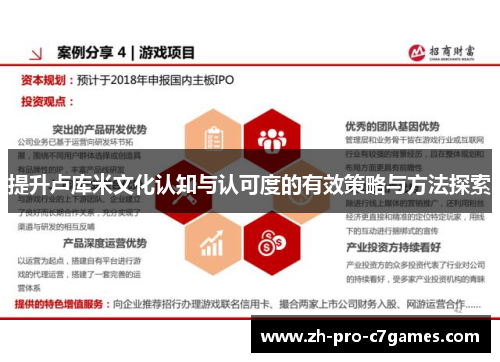 提升卢库米文化认知与认可度的有效策略与方法探索