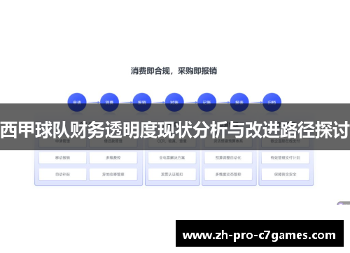 西甲球队财务透明度现状分析与改进路径探讨