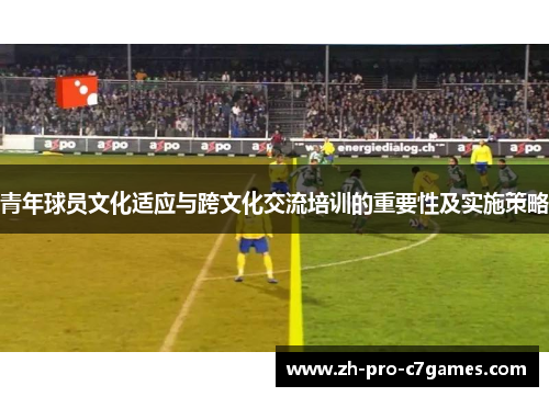 青年球员文化适应与跨文化交流培训的重要性及实施策略